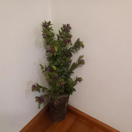 Holiday home Cantinho Da Aldeia *
